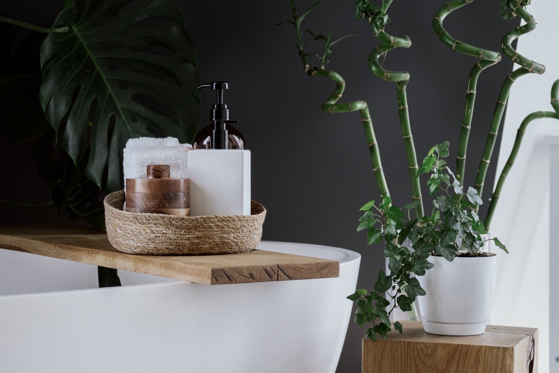 Rijke man seinpaal cursief 5 planten voor extra sfeer in uw badkamer | Steylaerts